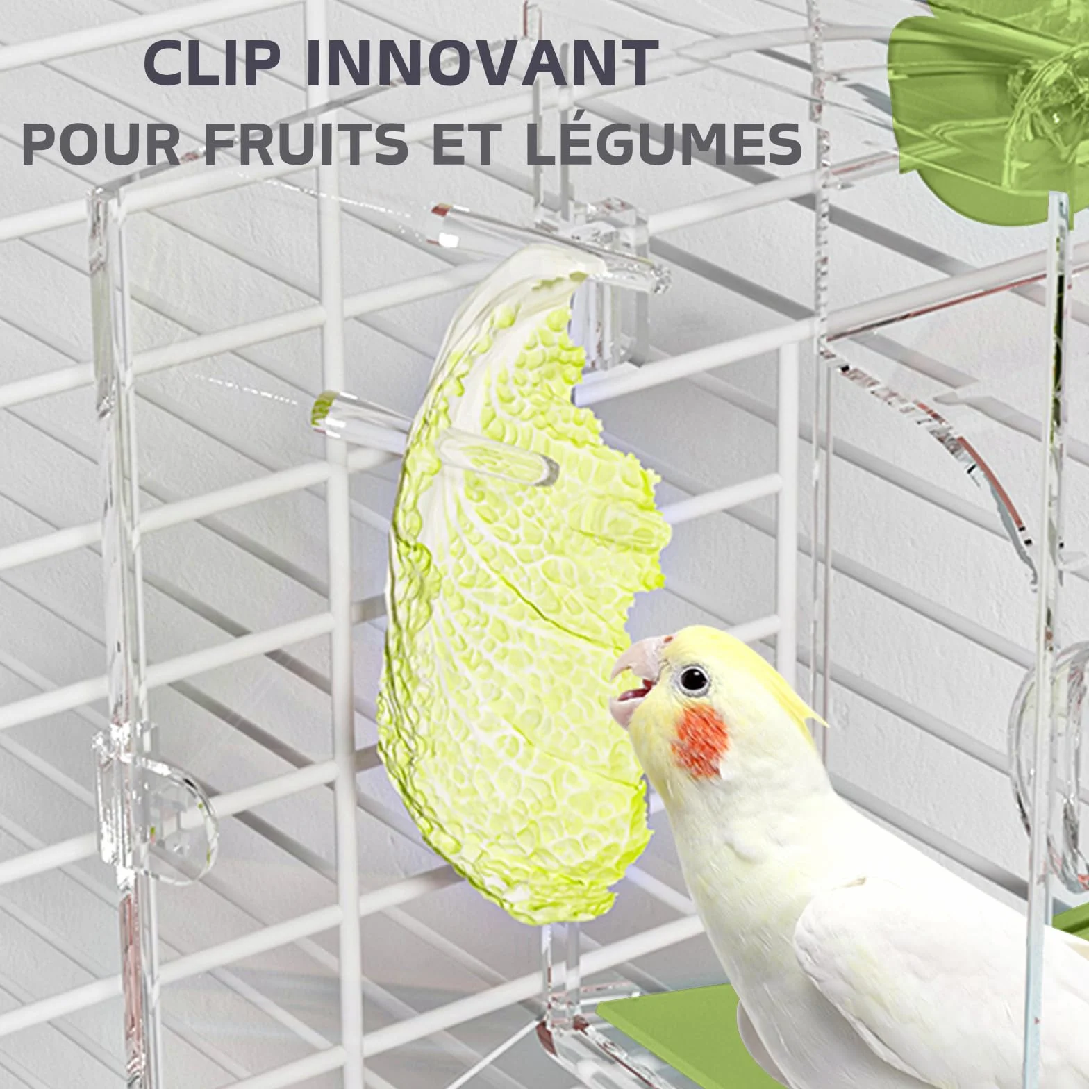 Mangeoire Automatique pour Oiseaux avec Perchoir Support Multifonctionnel pour Fruits et Légumes Vert