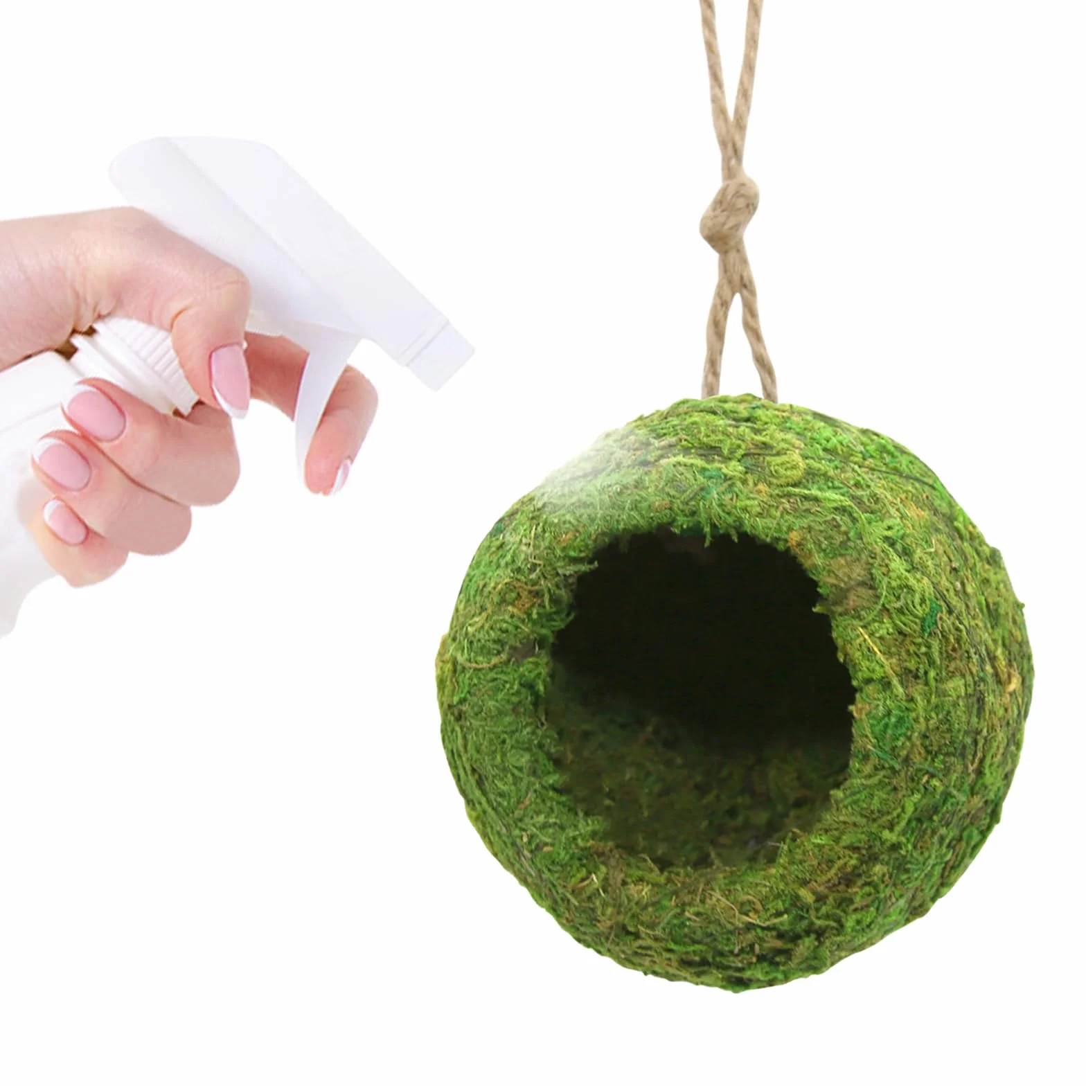 Abri Suspendu Naturel Hamac Fait Main pour Terrarium Gecko Dragon Barbu Serpent Petits Reptiles