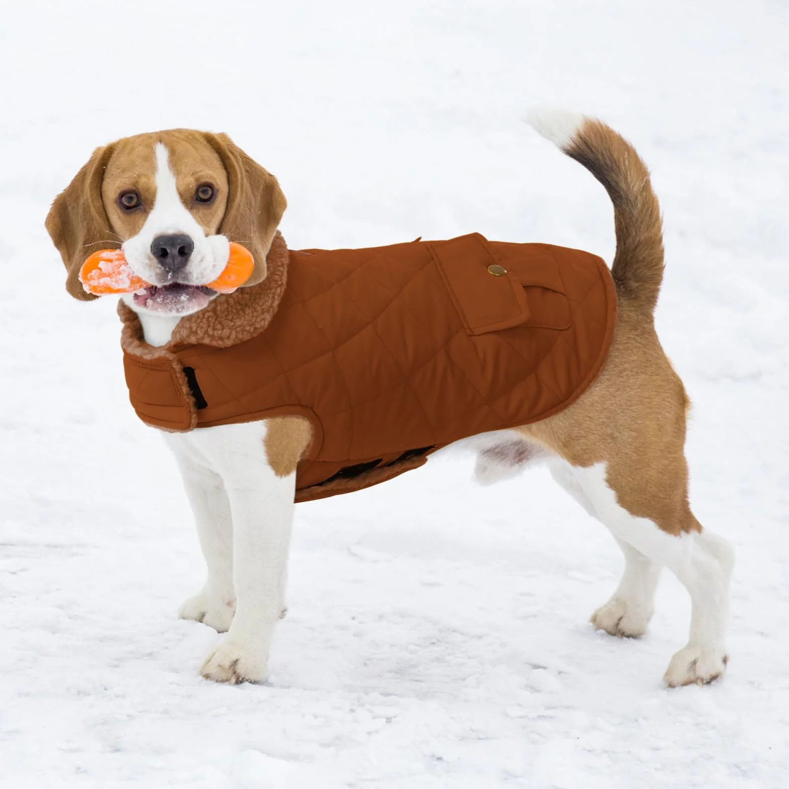 CITÉTOILE Manteau Chien Chaud Veste Polaire Fourrée Coupe-Vent avec Trou de Corde de Traction Brun XS