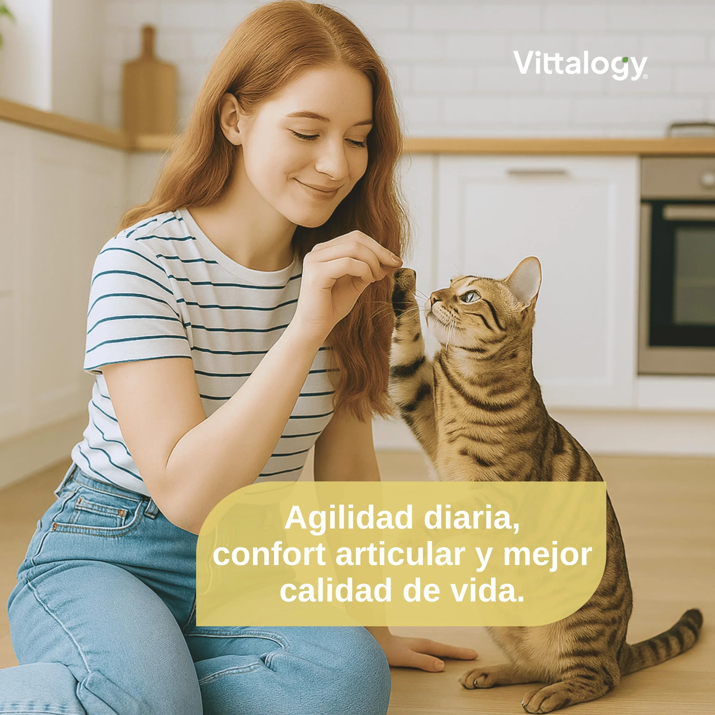 Chondroprotecteur chats anti-inflammatoire naturel collagène chondroïtine hyaluronique curcuma complément alimentaire articulations 120