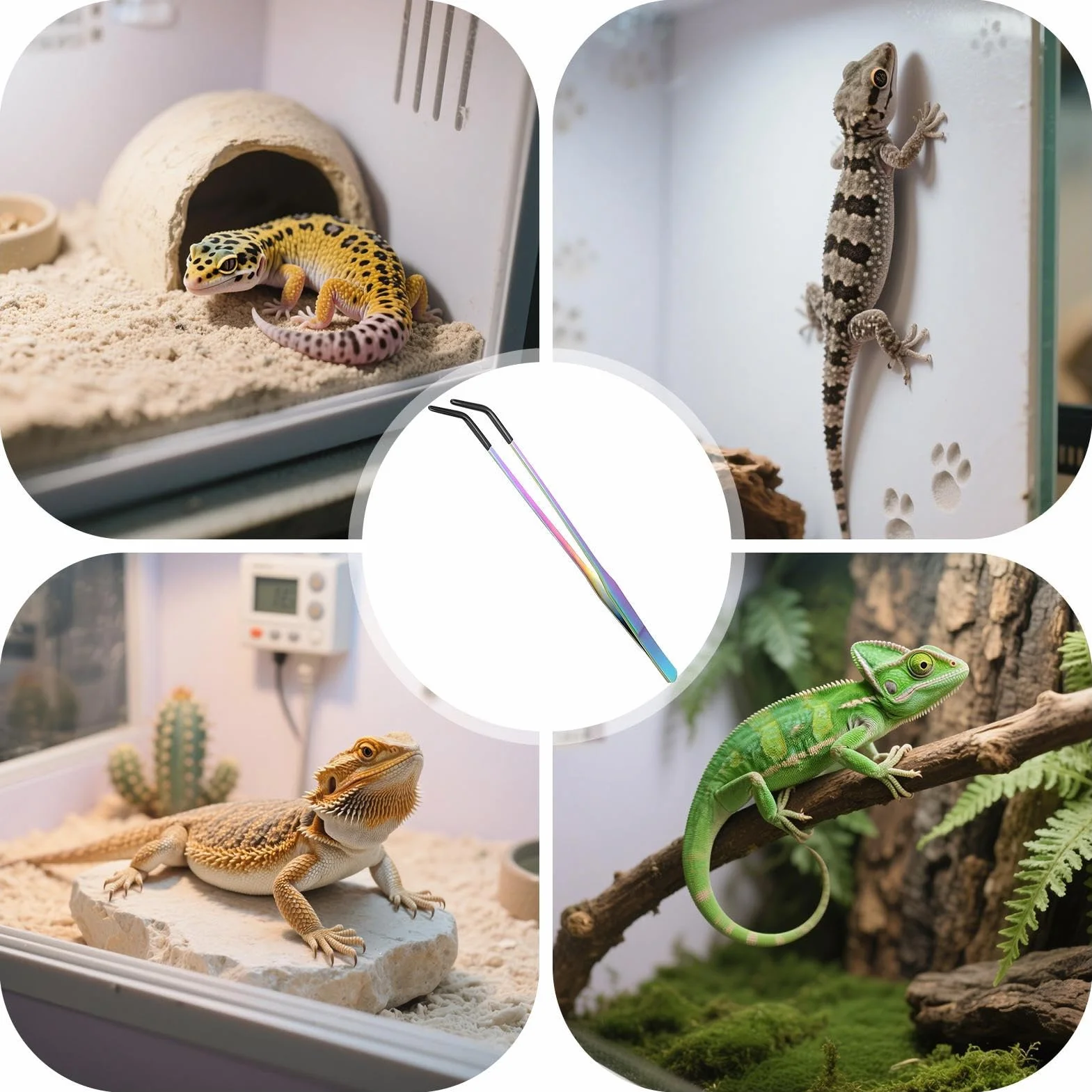 Pinces pour terrarium en silicone antidérapant - Outil de manipulation pour reptiles serpents araignées