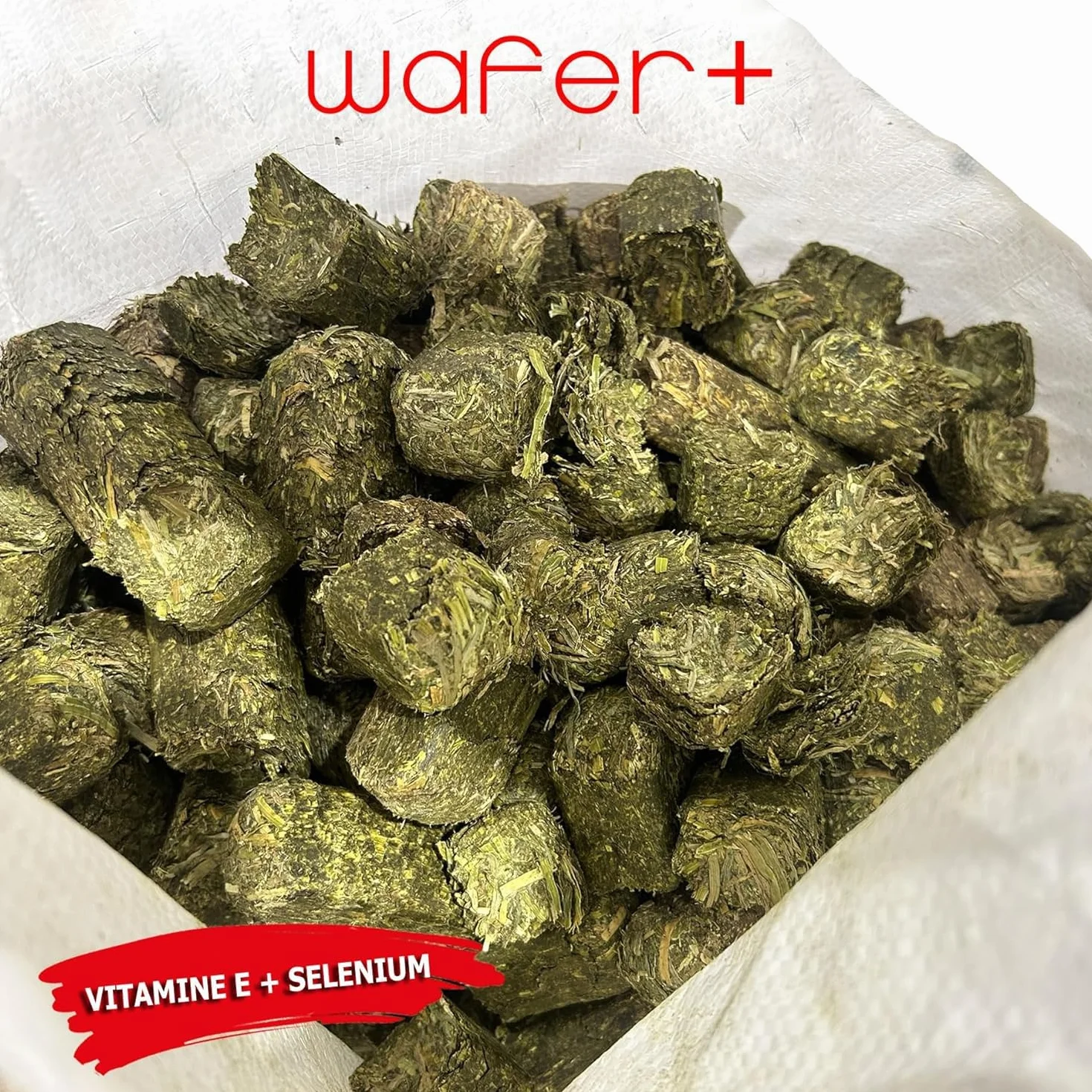 Wafer 20kg Alimentation Chevaux 100% Luzerne Naturelle Nourriture Haut-de-Gamme pour Cheval