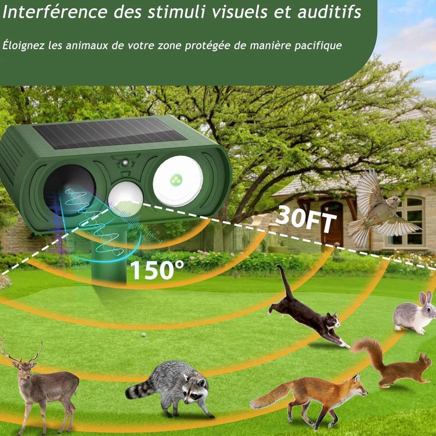 Répulsif Chat Ultrason Solaire IP54 Anti Chats Chiens avec Détecteur de Mouvement LED