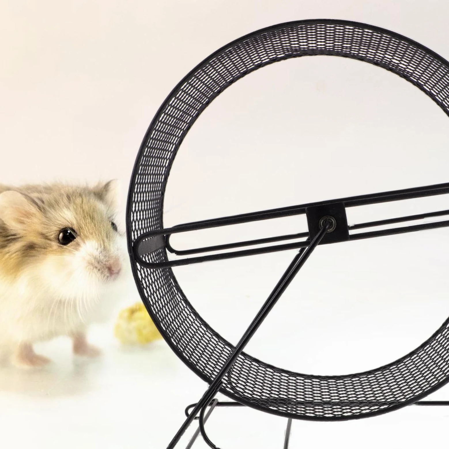 Roue Silencieuse pour Hamster en Fer, Jouet de Course Noir | Écureuil et Hérisson, Fonctionnement Silencieux, Exercice et Course Sûre, avec Support Stable