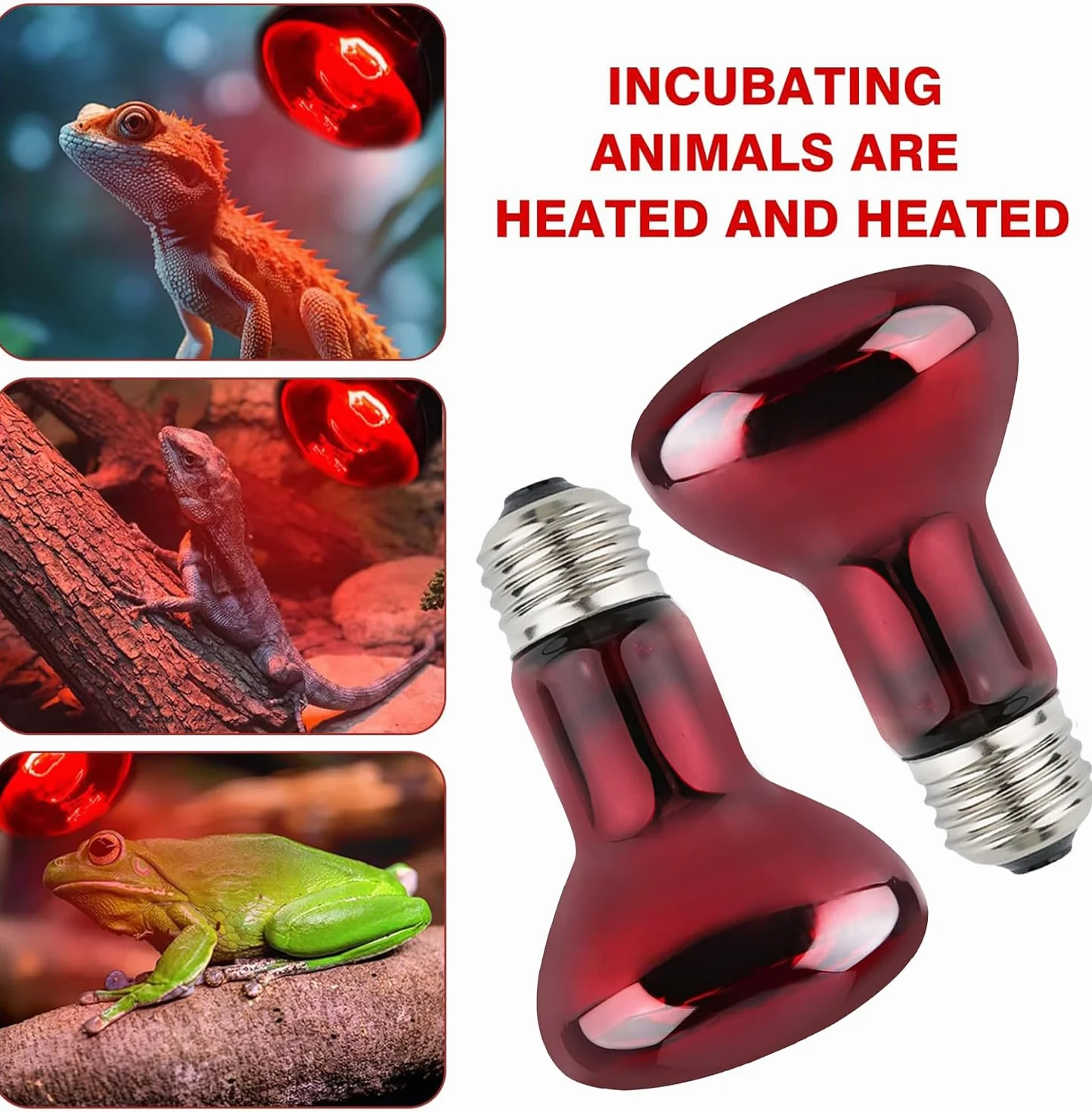 Lampe Chauffante Infrarouge E27 50W Rouge pour Reptiles, 2 Pièces
