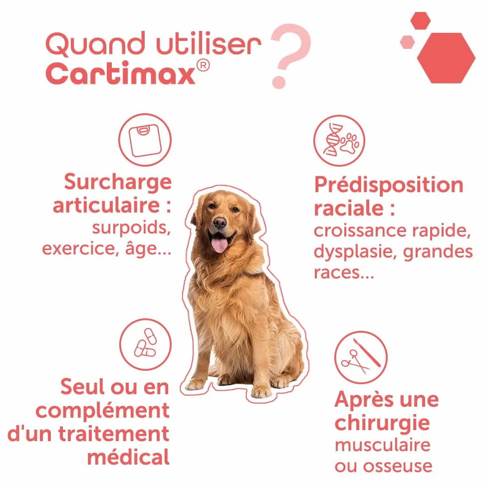 MP Labo Cartimax Soutien Fonction Articulaire Chien Chat Glucosamine Harpagophytum Reine des Prés Bambou Oligo-éléments 50 Gélules