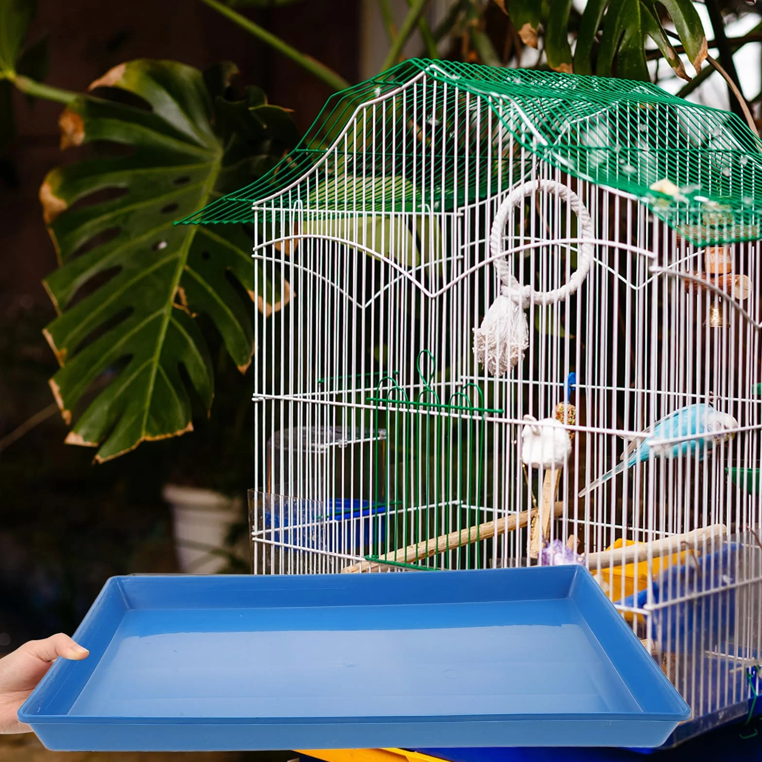 Plateau en Plastique Épais pour Cage d'animal, Bac à Déjections pour Chien et Lapin, Facile à Remplacer, Adapté pour Cage d'animaux Domestiques Bleu
