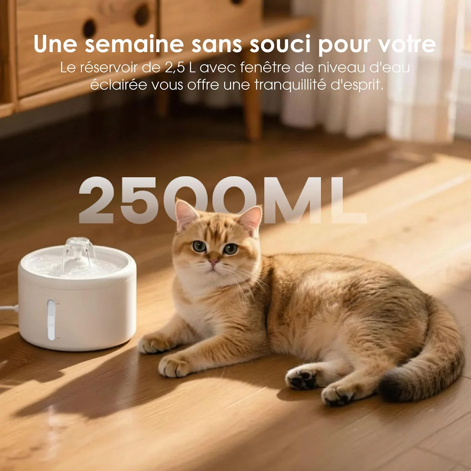 Fontaine à Eau Chat 2,5L Grande Capacité Ultra Silencieuse 8dB 6 Filtres Multi-Niveaux Distributeur Eau Chat ABS