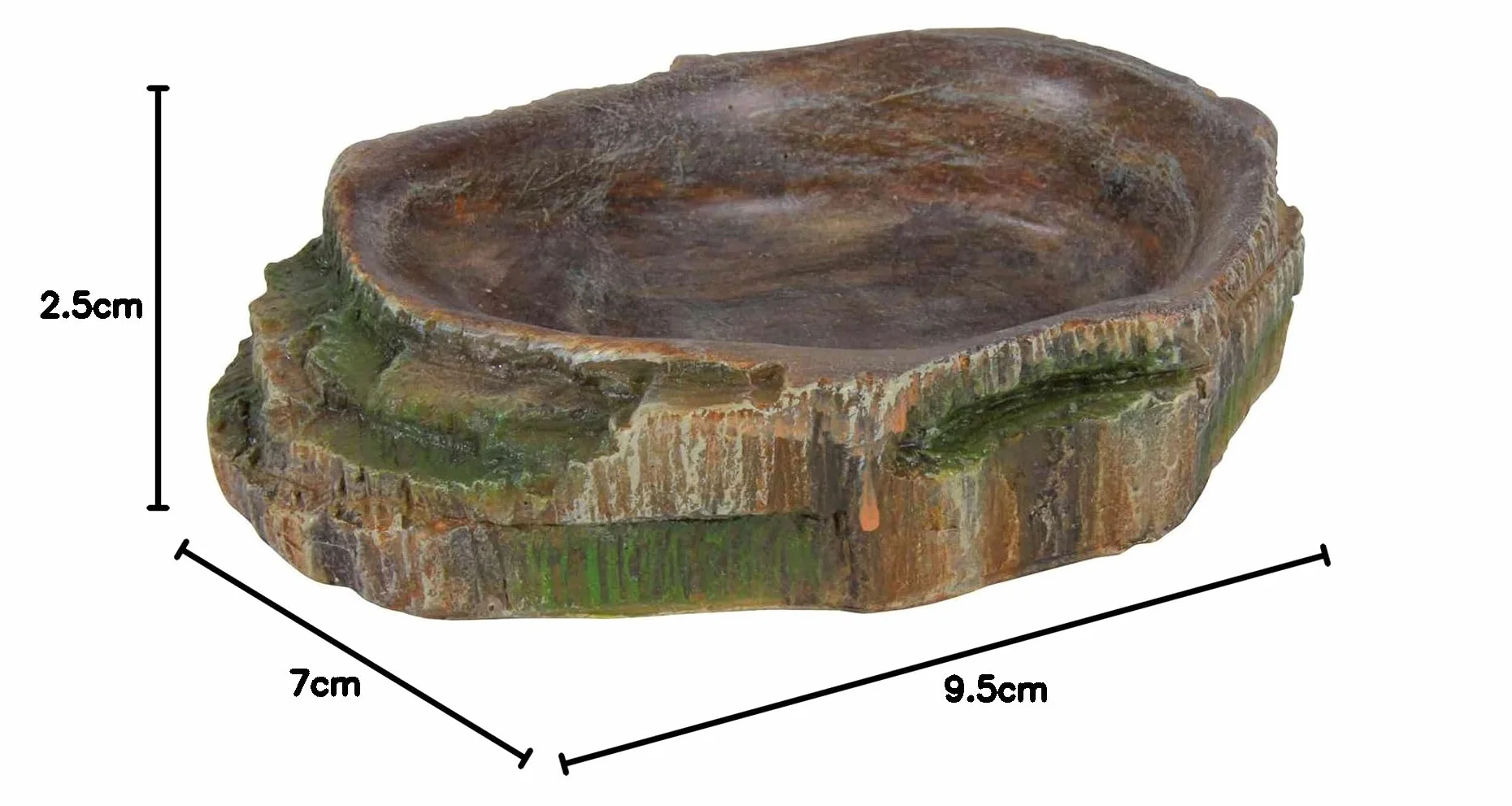 Trixie Reptile Décoration Forêt Tropicale Bol d'eau et de Nourriture