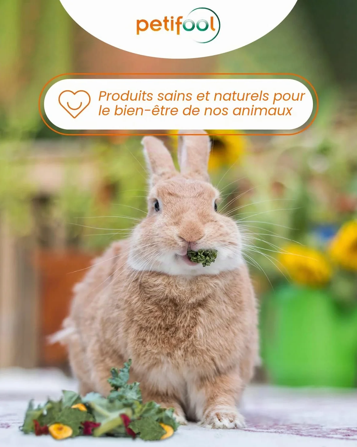 Petifool Blütenfest 380 g Complément alimentaire naturel pour rongeurs lapins cochons d'Inde hamsters chinchilla