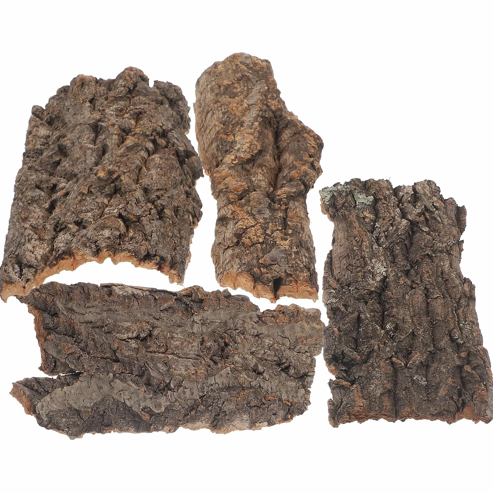 Lot de 4 plateformes d'escalade en bois naturel pour reptiles et tortues - Écorce d'arbre taille moyenne