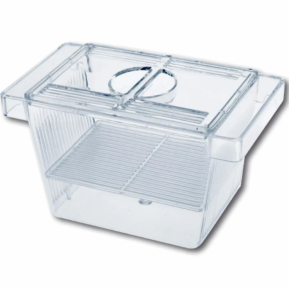 Amtra Réservoir d'Élevage Spawning Room 3 en 1 12X6X6 cm