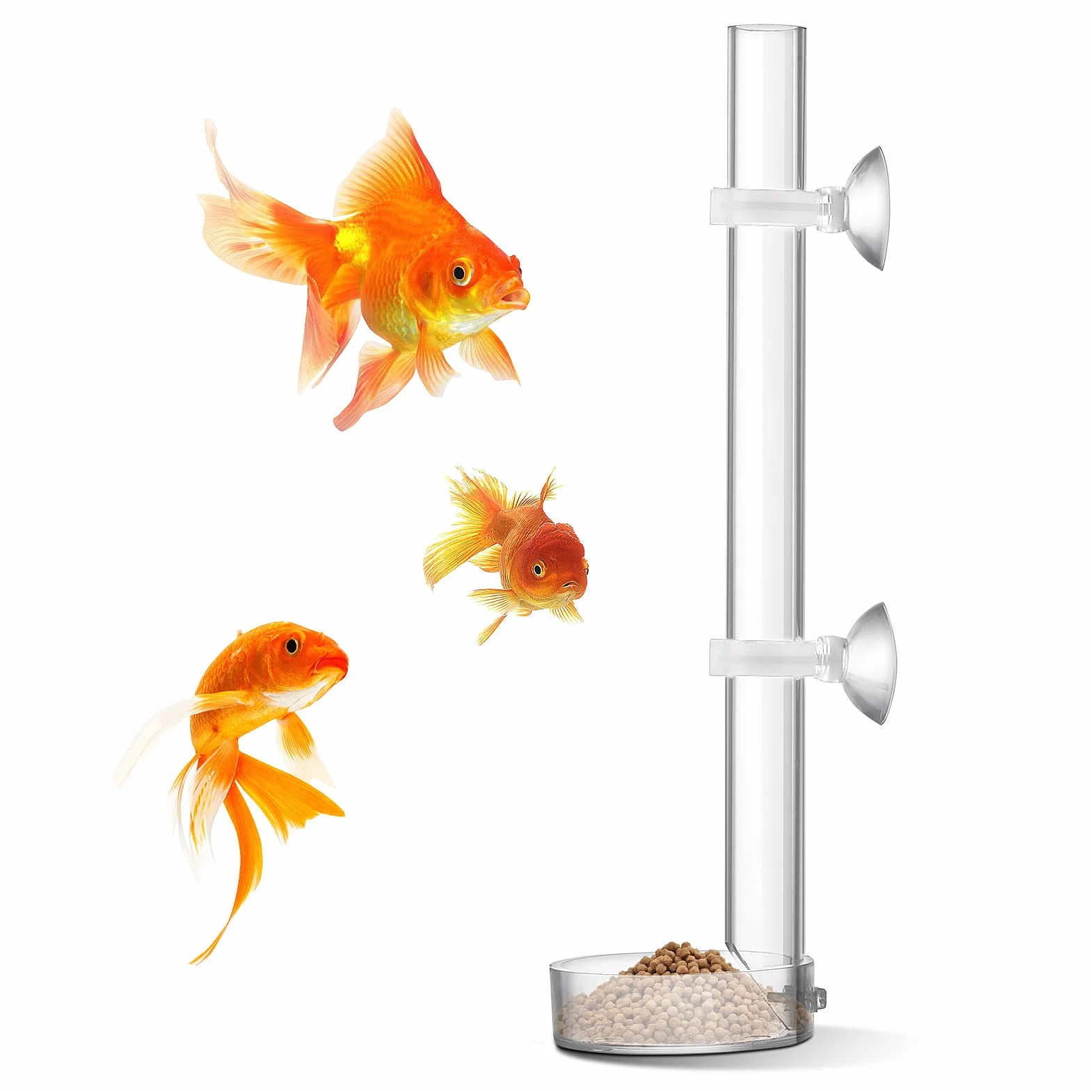 cobee Mangeoire à crevettes en acrylique, mangeoire à crevettes transparente et durable pour poissons d'aquarium - tube de 25 cm et bol d'alimentation de 6,5 cm
