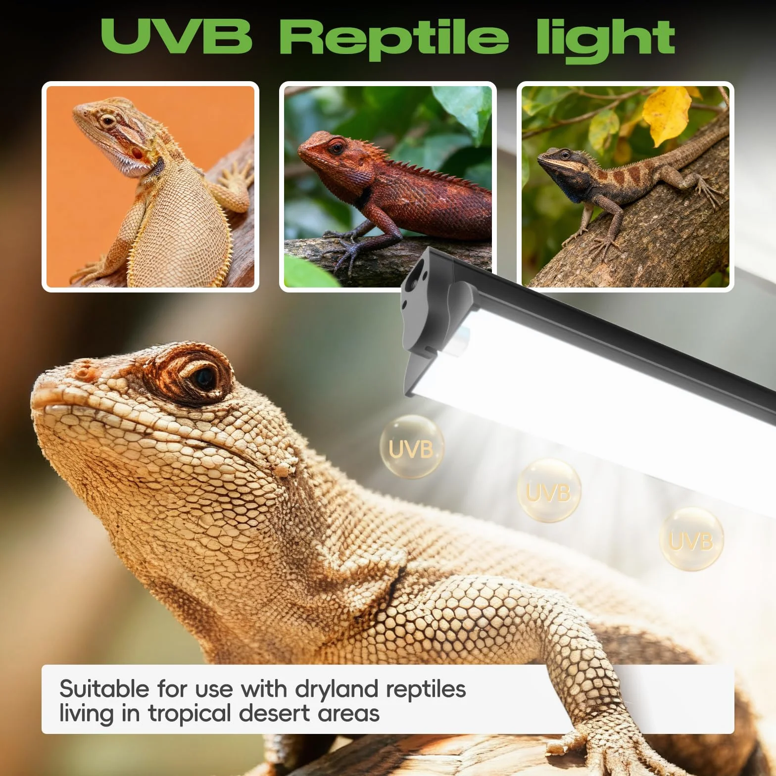 Kit d'éclairage UVB T5 8W 10.0 pour reptiles tropicaux et déserts