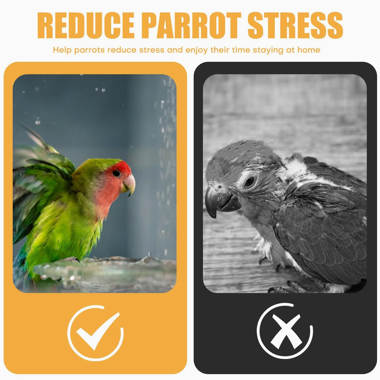 Baignoire automatique pour oiseaux - Avec pompe - Accessoire de douche pour perruches, oiseaux et perroquets - Vert - Taille L