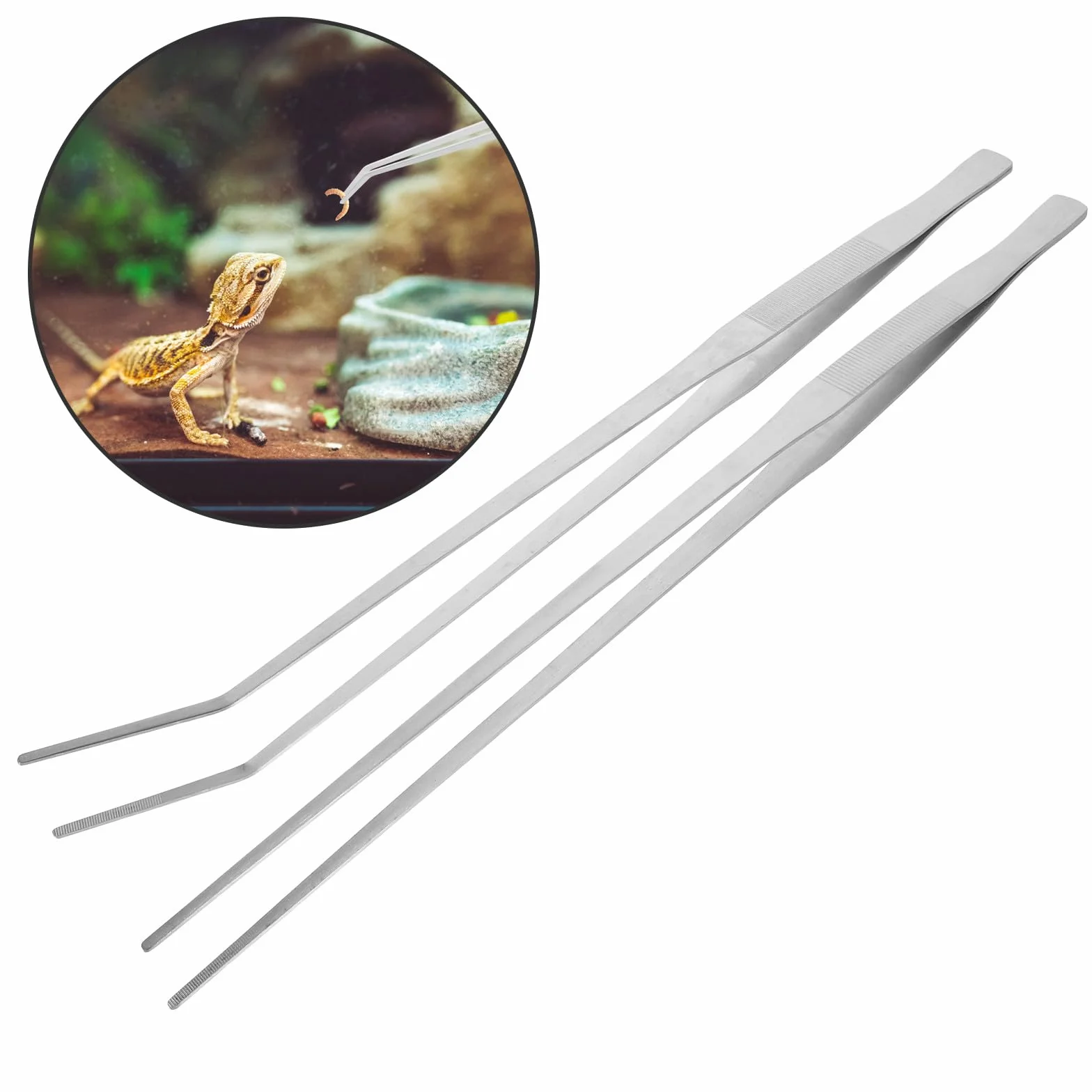 Pinces à Nourrir en Acier Inoxydable Extra Longues 48 cm pour Reptiles Terrarium