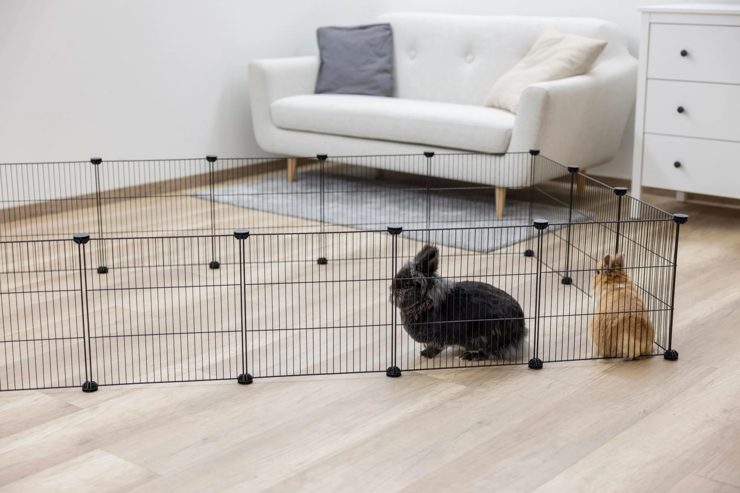 Kerbl Pet 6 éléments Grille suppl. 35x35 cm
