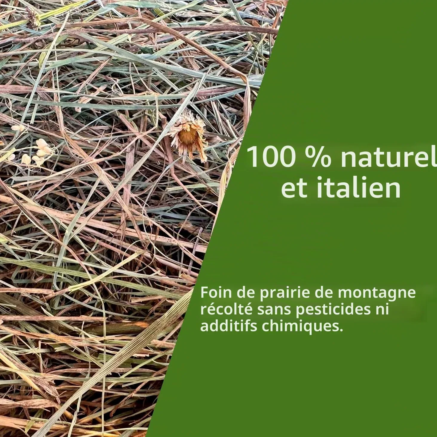 Foin naturel pour lapins 10 kg | Danse de foin italienne de prairie de montagne séchée au soleil | Nourriture pour cochons d'Inde, Chinchilla, lapins nains, chevaux, poulets et rongeurs