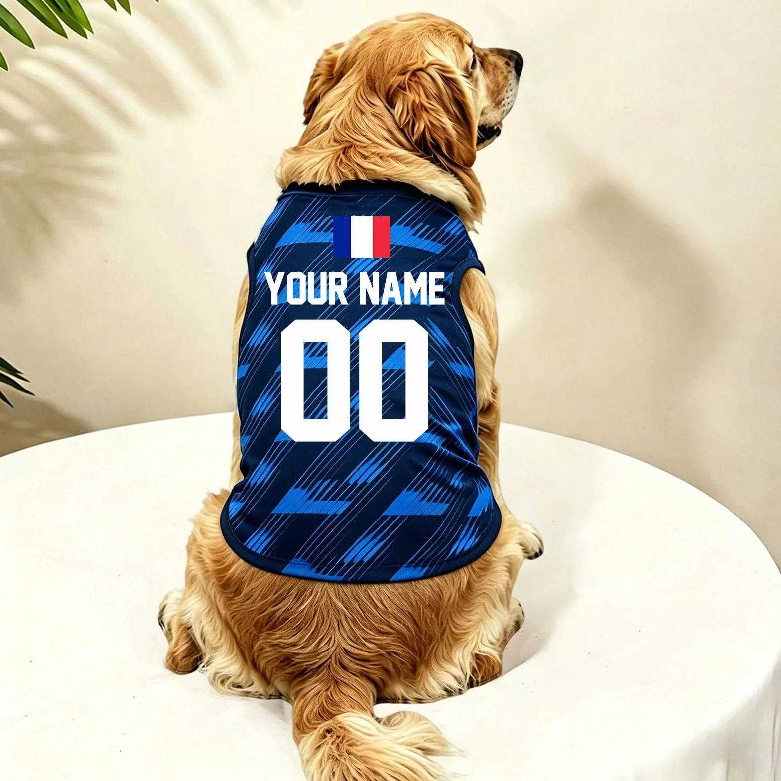 Maillot Coupe du Monde 2026 Personnalisé pour Chien Chat, Maillot de Foot France, Col V, avec Nom et Numéro, Tricolore