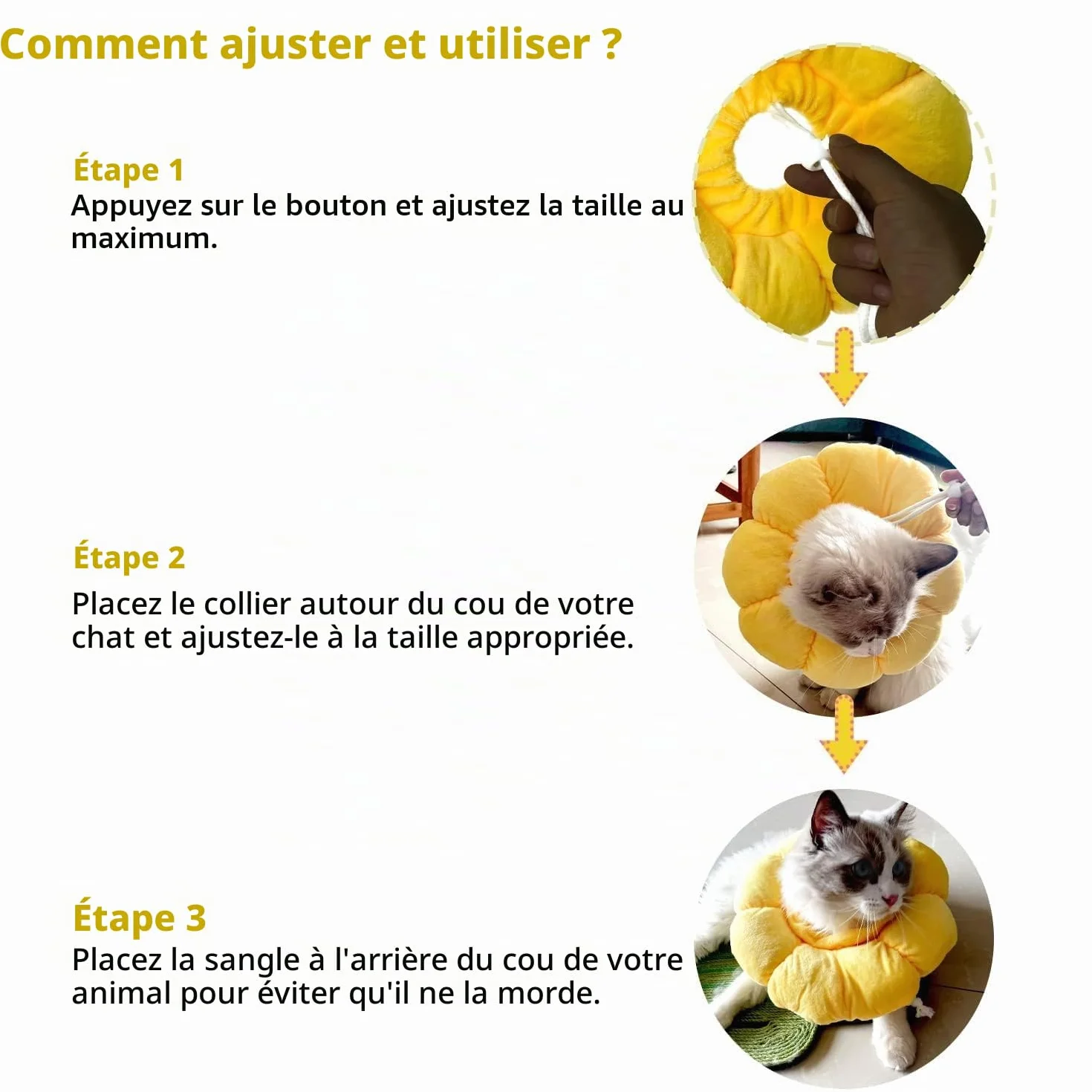 Collerette Réglable pour Chat et Petit Chien Après Opération, Taille L