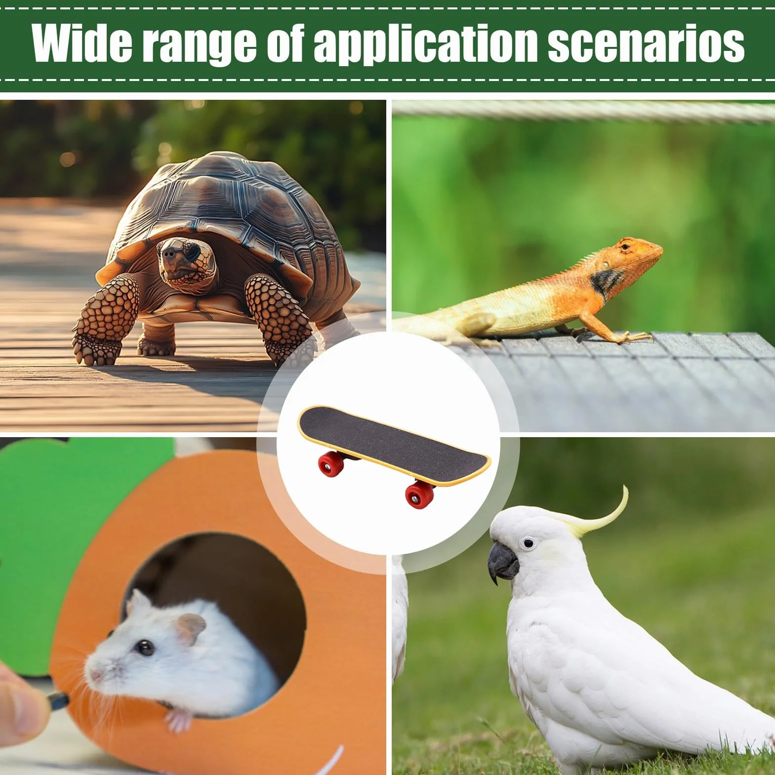 Harnais Sécurité Planche À Roulettes Pour Tortues Accessoires Réglables Reptiles Intérieur Extérieur