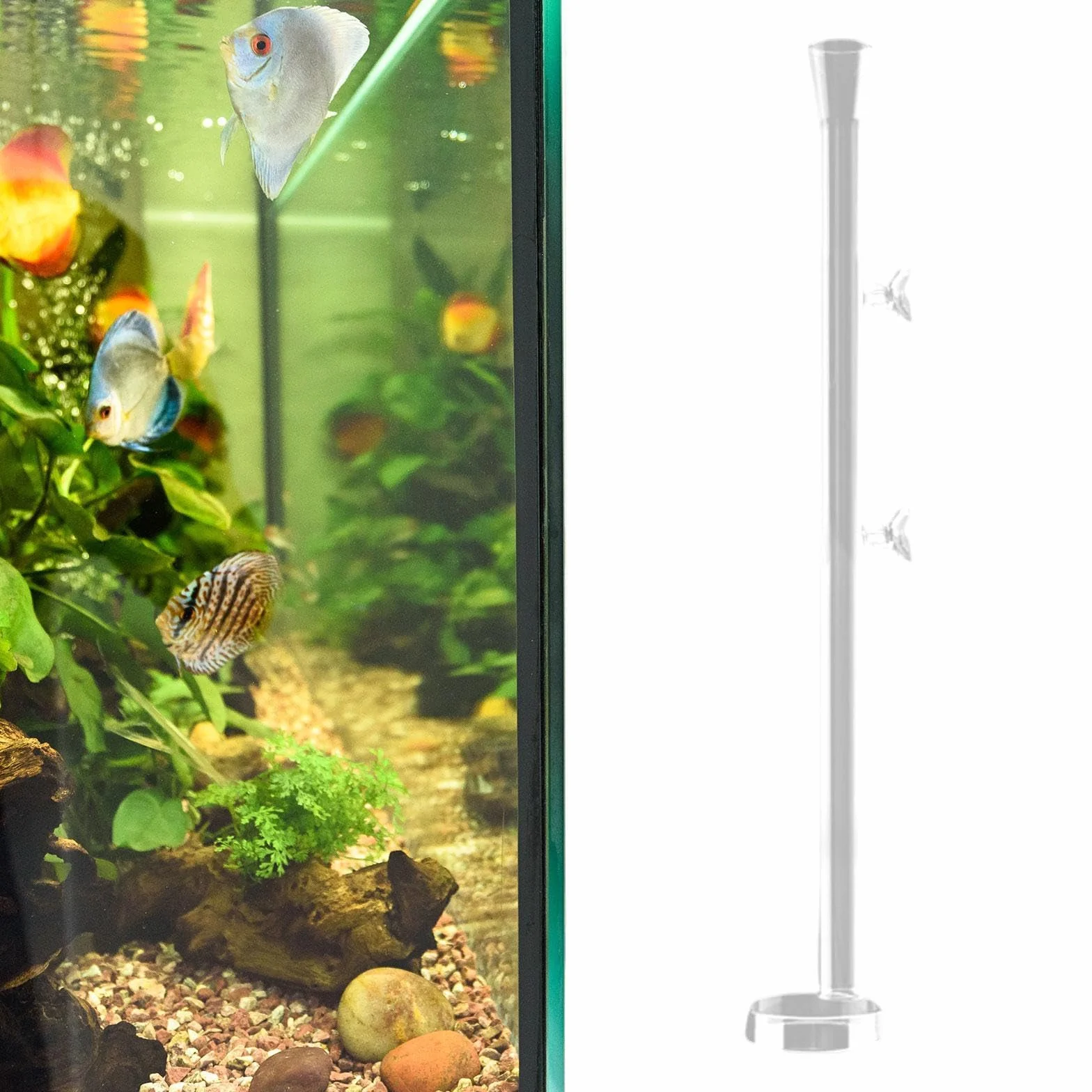 MagiDeal Tube d'alimentation en Verre pour Aquarium 45CM Plateau Rond Mangeoire Crevettes