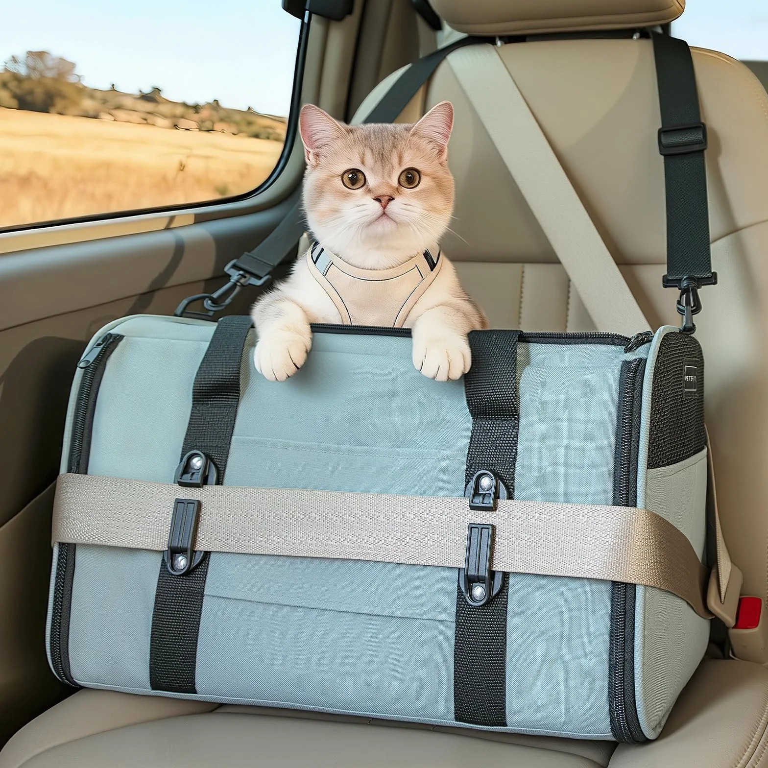 Petsfit Sac de transport souple pour chat et petit chien avec boucles de sécurité et fermetures éclair verrouillables