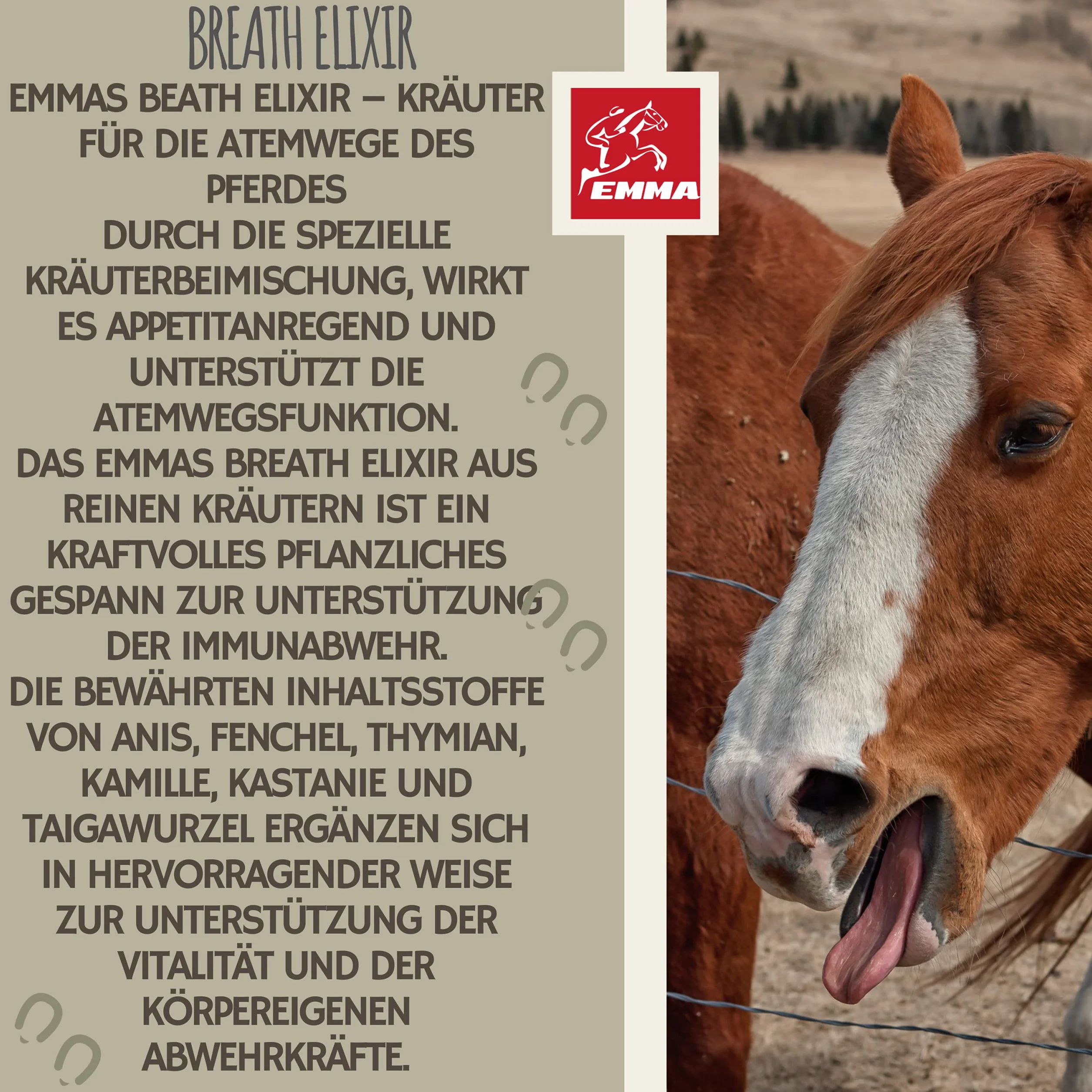 Emma Sirop la toux Cheval - Elixir Herbes Liquide 1L fenouil thym bronchiques remède