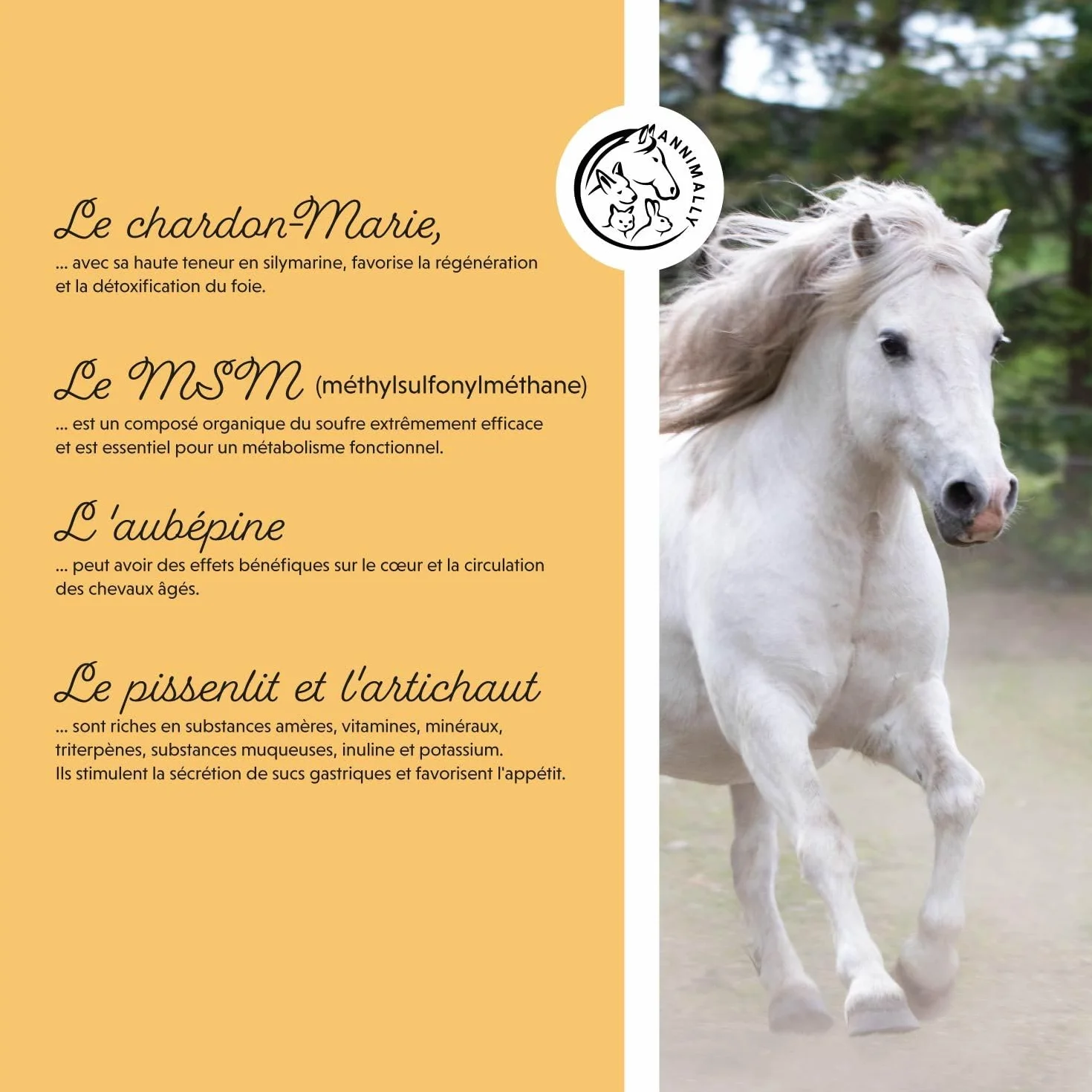 Annimally Senior Vital Poudre Cheval MSM Pépin de Raisin Glucosamine Griffe de Diable Complément Alimentaire Senior