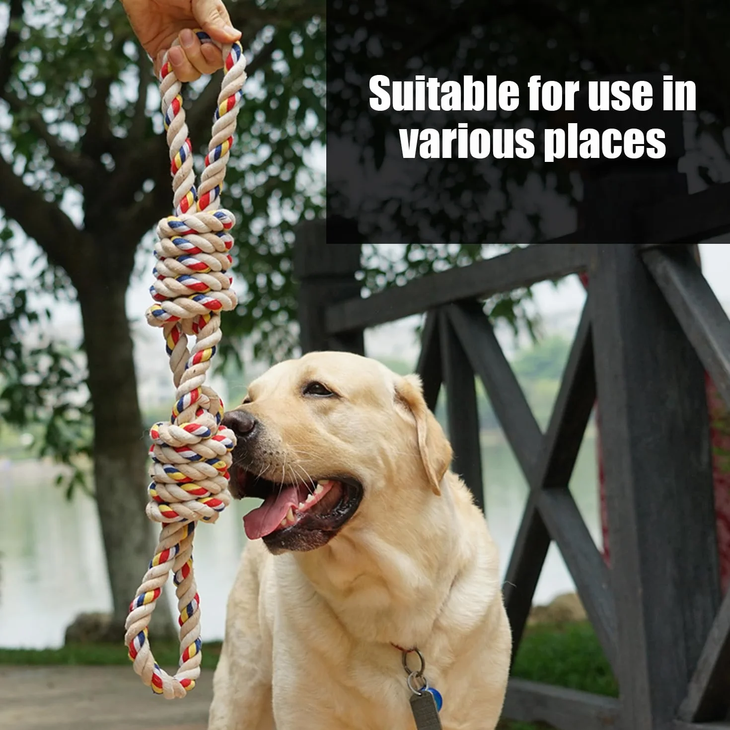 Corde de 40 cm pour Chien - Jouet Durable à Mâcher pour Petite et Moyenne Taille