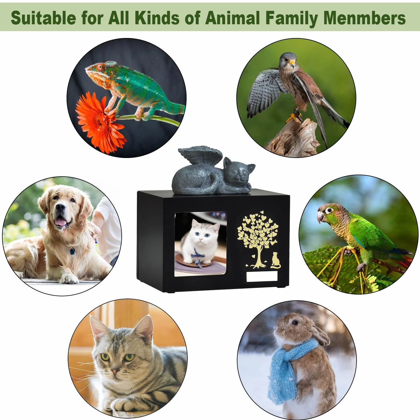 Urnes souvenir personnalisées pour chats Boîte en bois pour cendres d'animal avec photo