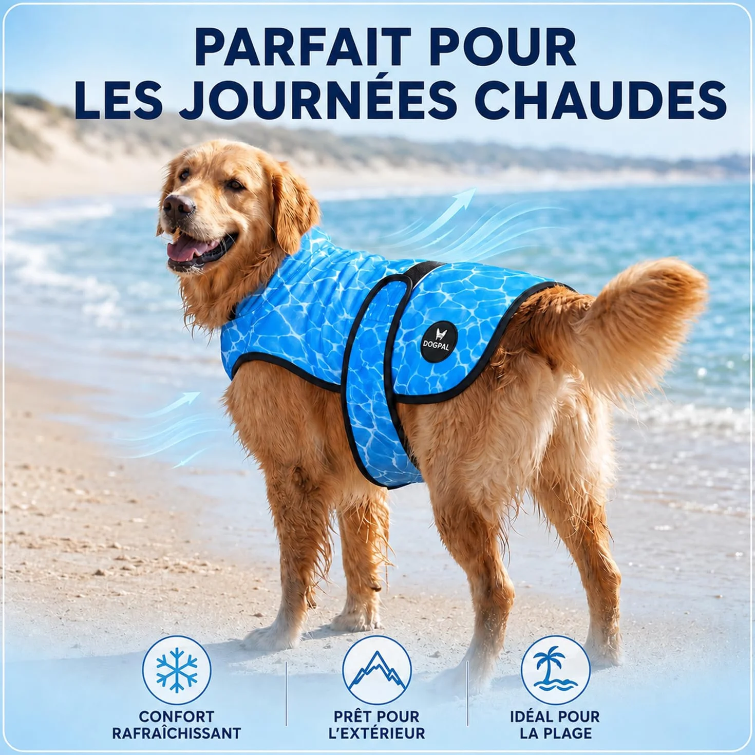 DOGOPAL Gilet Rafraîchissant pour Chien Activé par l'Eau, Veste Réfrigérante avec Protection UV, Manteau d'Été Léger et Respirant à Col Haut (Bleu, XXL)