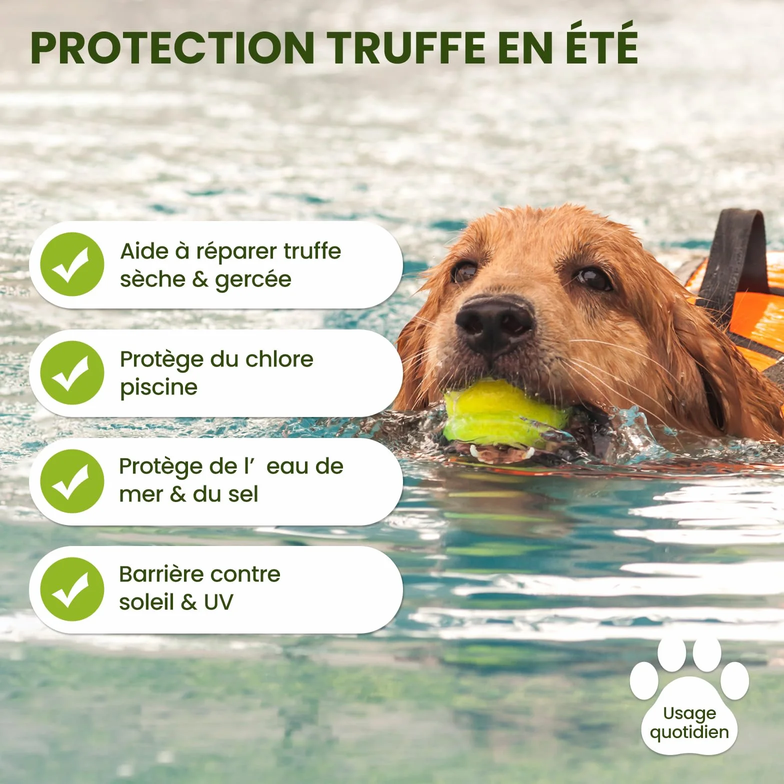PawSono Baume Coussinets et Truffe Chien 100% Naturel Beurre de Karité & Huile de Coco Soin Hydratant Protecteur