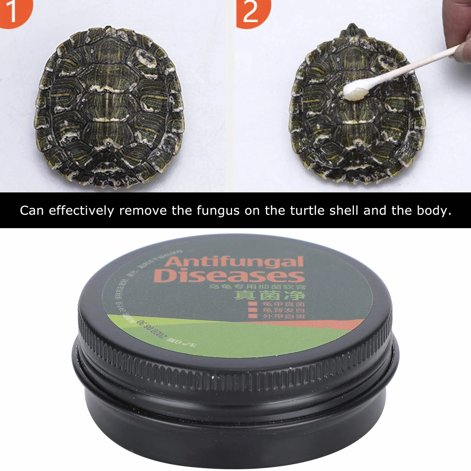 Crème de Soin de Tortue Pratique pour Protéger la Santé des Tortues de Compagnie