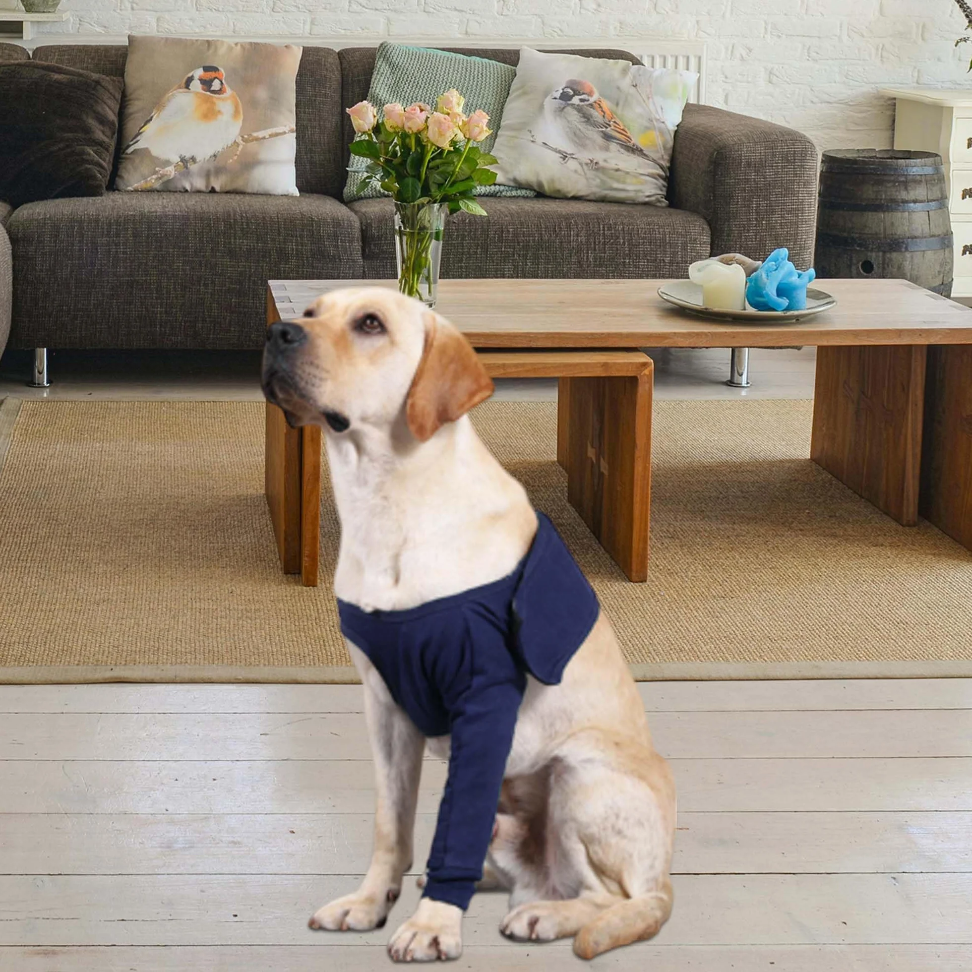 Manchon pour Patte Avant Gauche Chien, Protège-Patte Avant Récupération, Bandage Protecteur, L, Bleu