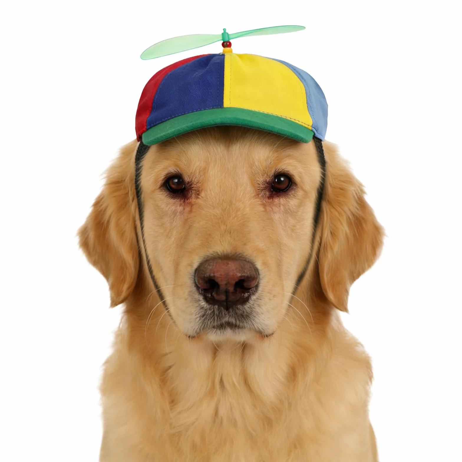 Chapeau à Hélice pour Chien et Chat Casquette de Baseball à Hélice pour Chiot Casquette Ajustable pour Animaux avec Trous pour Les Oreilles Chapeau Amusantes pour Animax Domestique