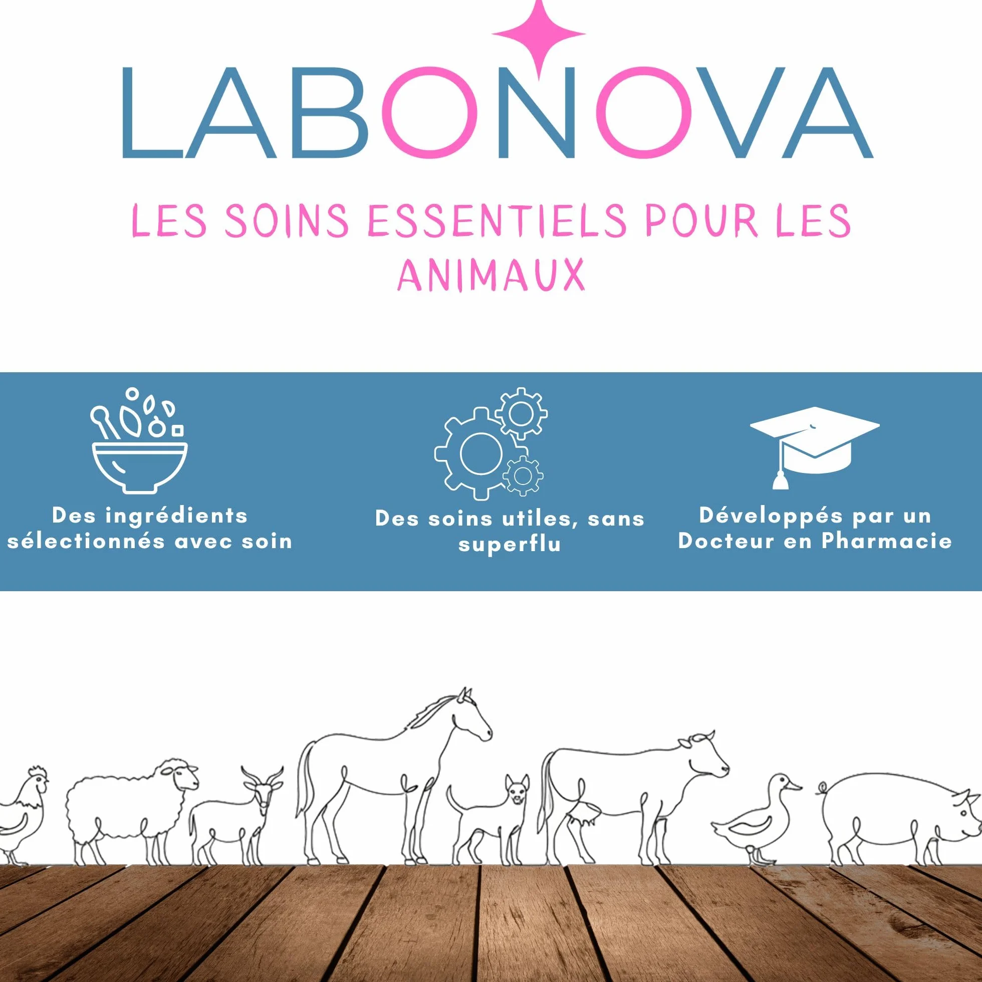 Crème au Zinc pour Animaux 200 mL - Peaux abimées - Protection de la peau - Chevaux, ânes, chiens, chèvres, moutons