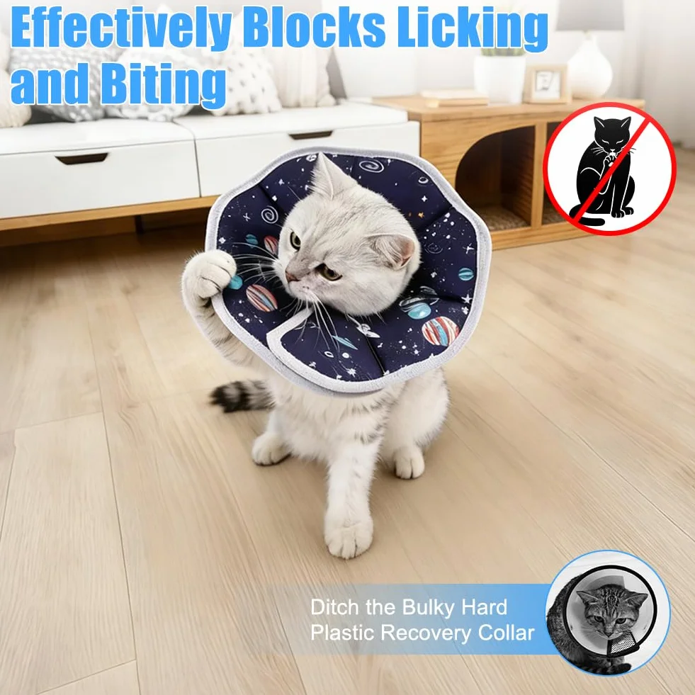 Collier de Protection Chat S Tour de Cou 16–23 cm Ajustable Anti-mordillement Post-opératoire