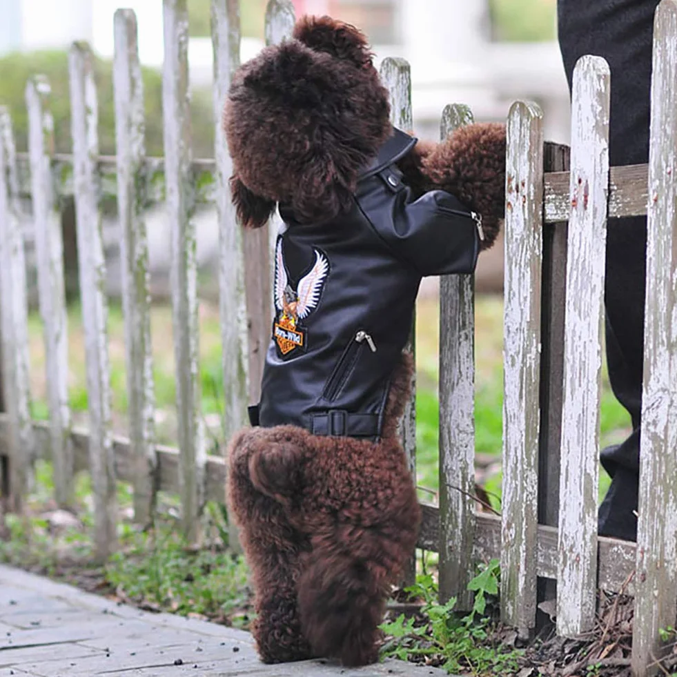 Manteau d'hiver pour Chien en Cuir Cool, Coupe-Vent Étanche, Noir XL