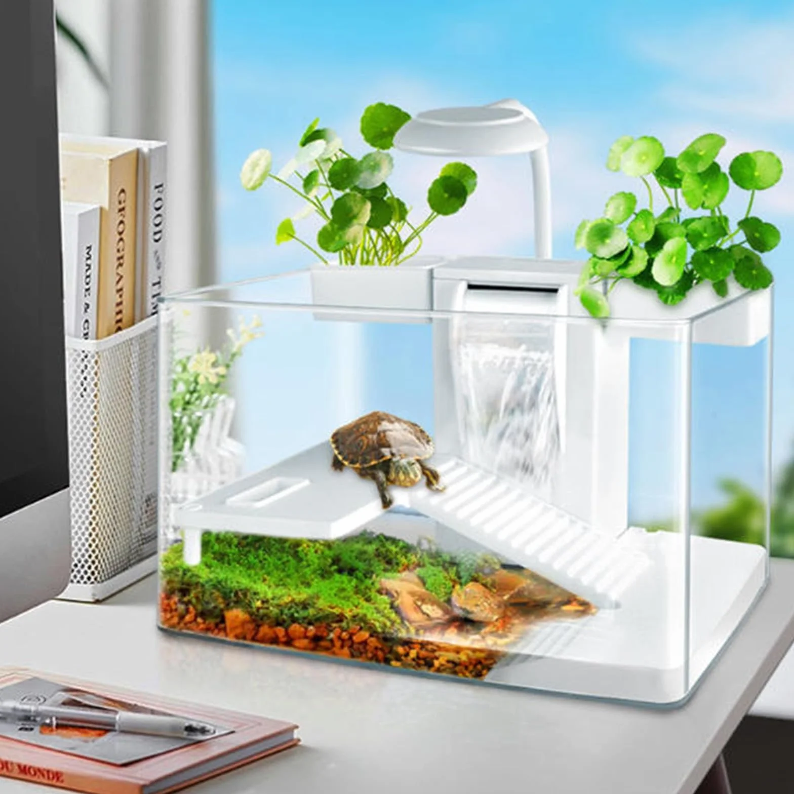 Kit d'habitat pour Tortues avec Filtre à Eau Complet et Zone Multifonction