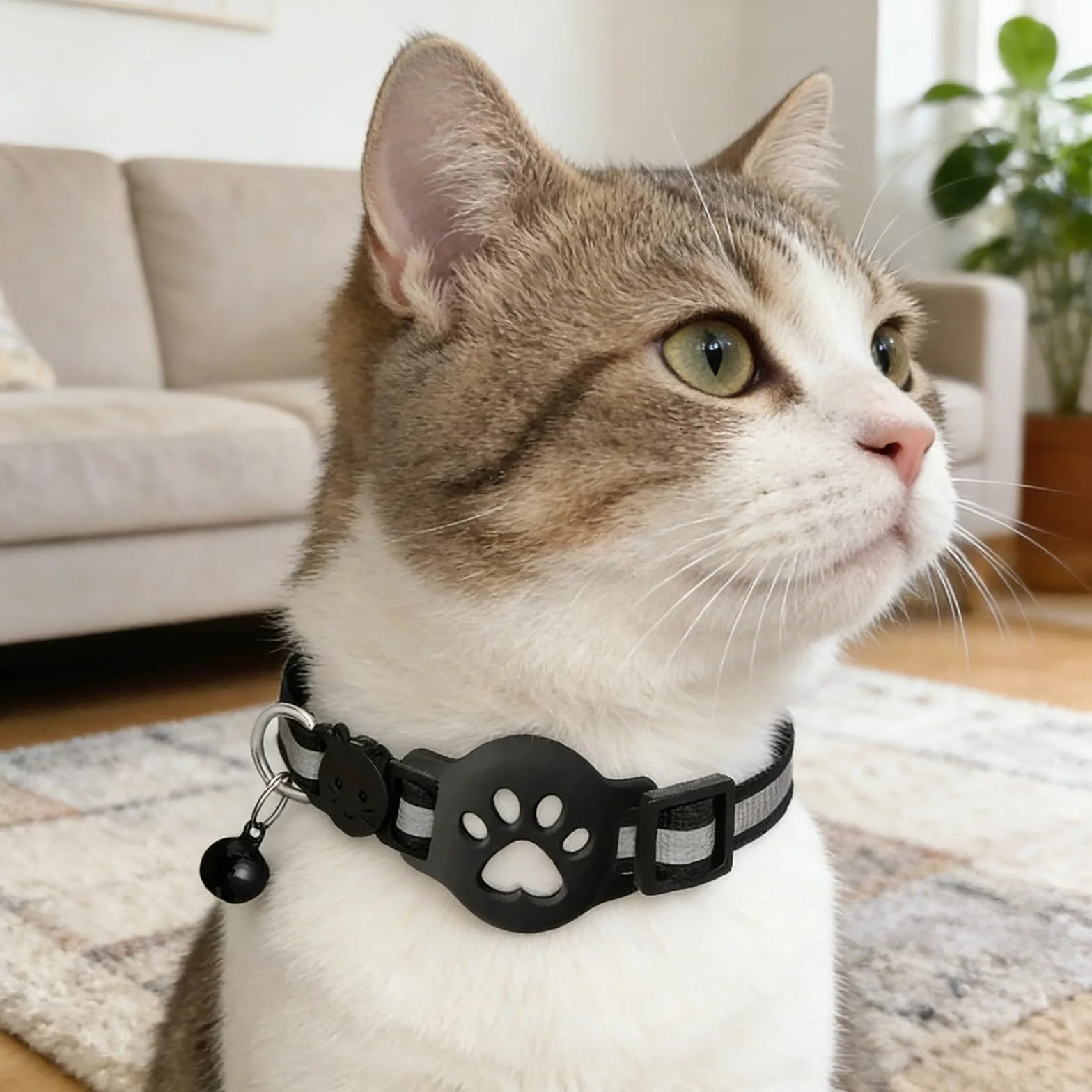Collier GPS Chat sans Abonnement Traceur Animaux Localisation Temps Réel Étanche Léger Ajustable 19-32 cm Noir