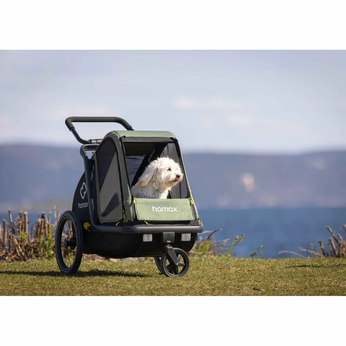 Hamax Remorque Chien Pluto Suspension 3 Positions Kit Poussette Inclus Charge Max 35 kg L 45 kg Sécurité Confort