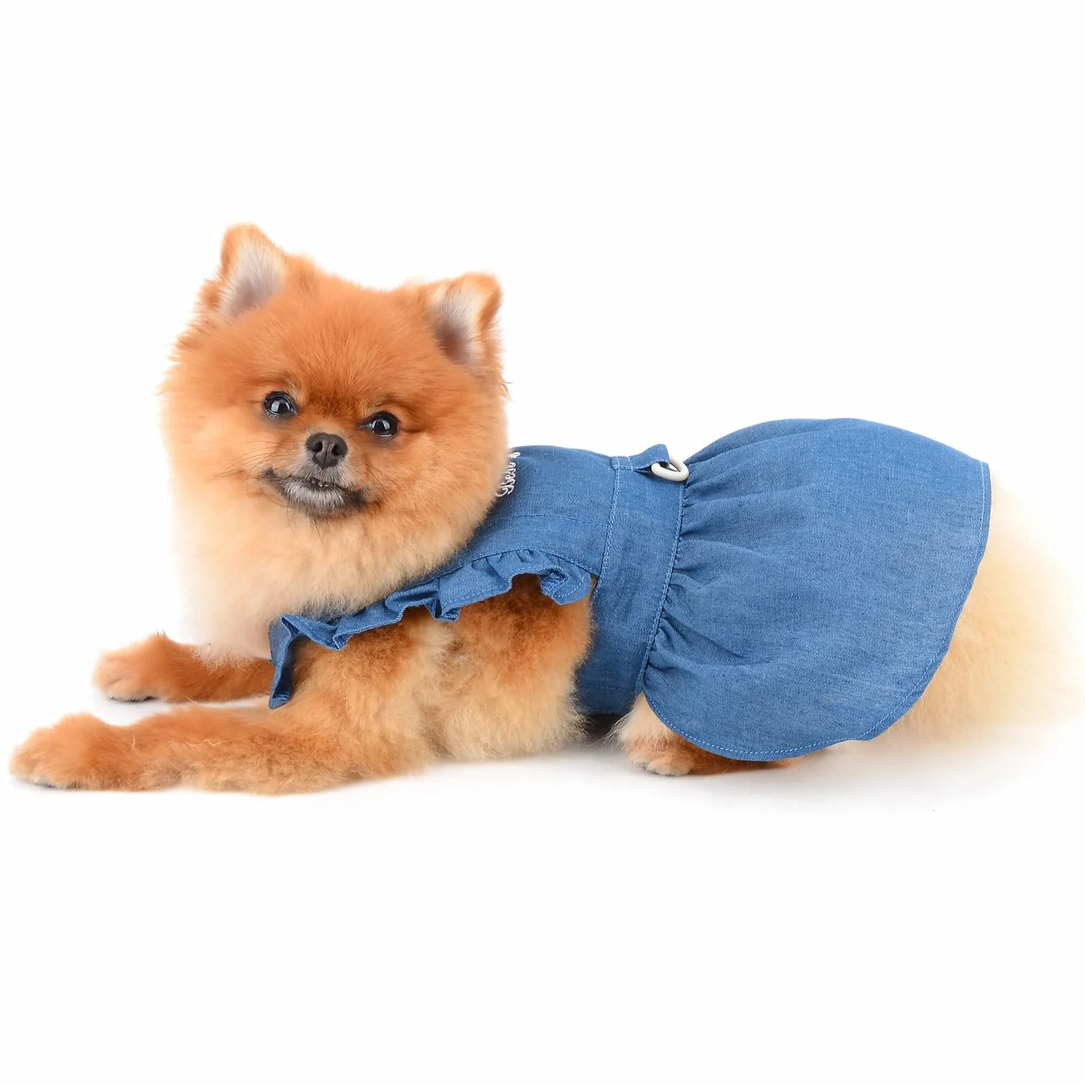 Robe Harnais en Jean pour Chien Bleu Foncé Taille L avec Anneau en D