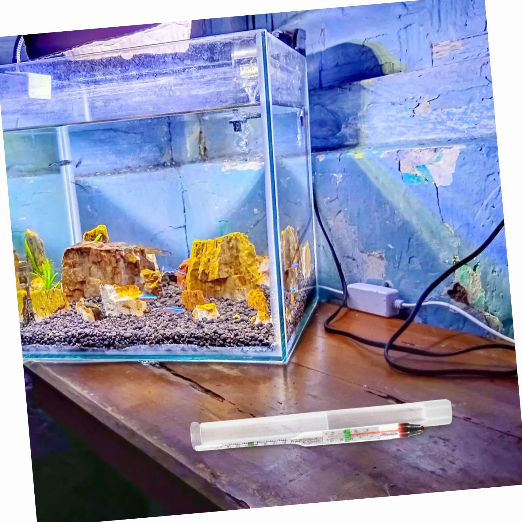 Milisten Hydromètre De Salinité pour Aquarium Eau De Mer Compact Léger Densimètre Précis