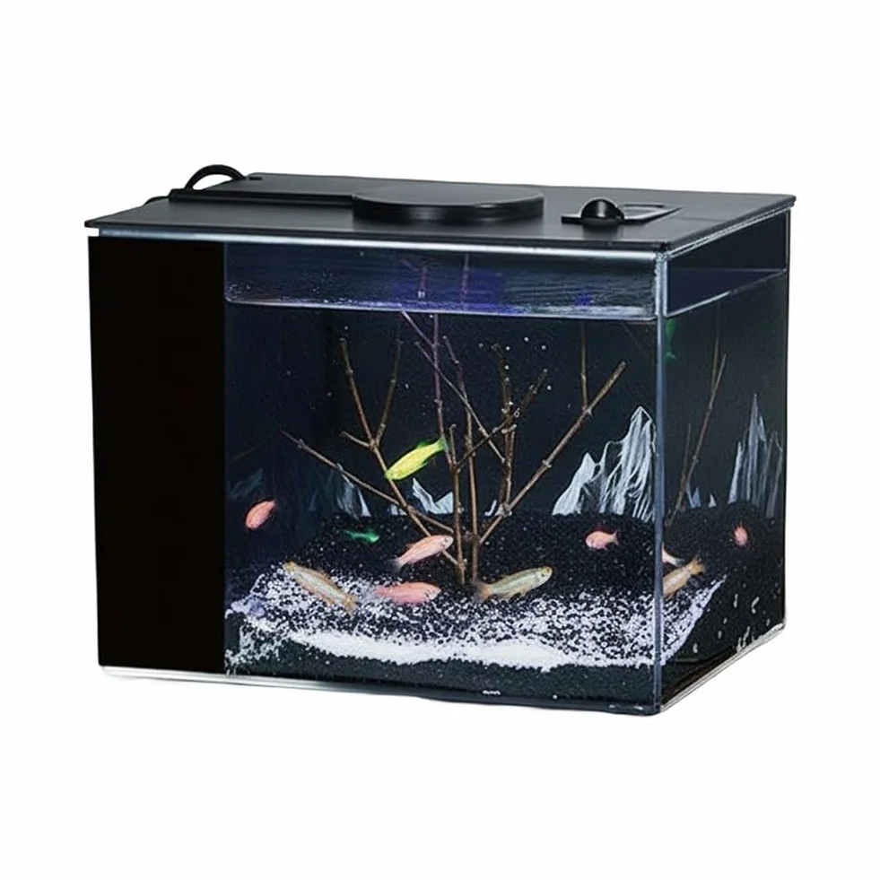 Aquarium auto-circulant avec pompe filtrante intégrée, kit avec lumière LED pour bureau