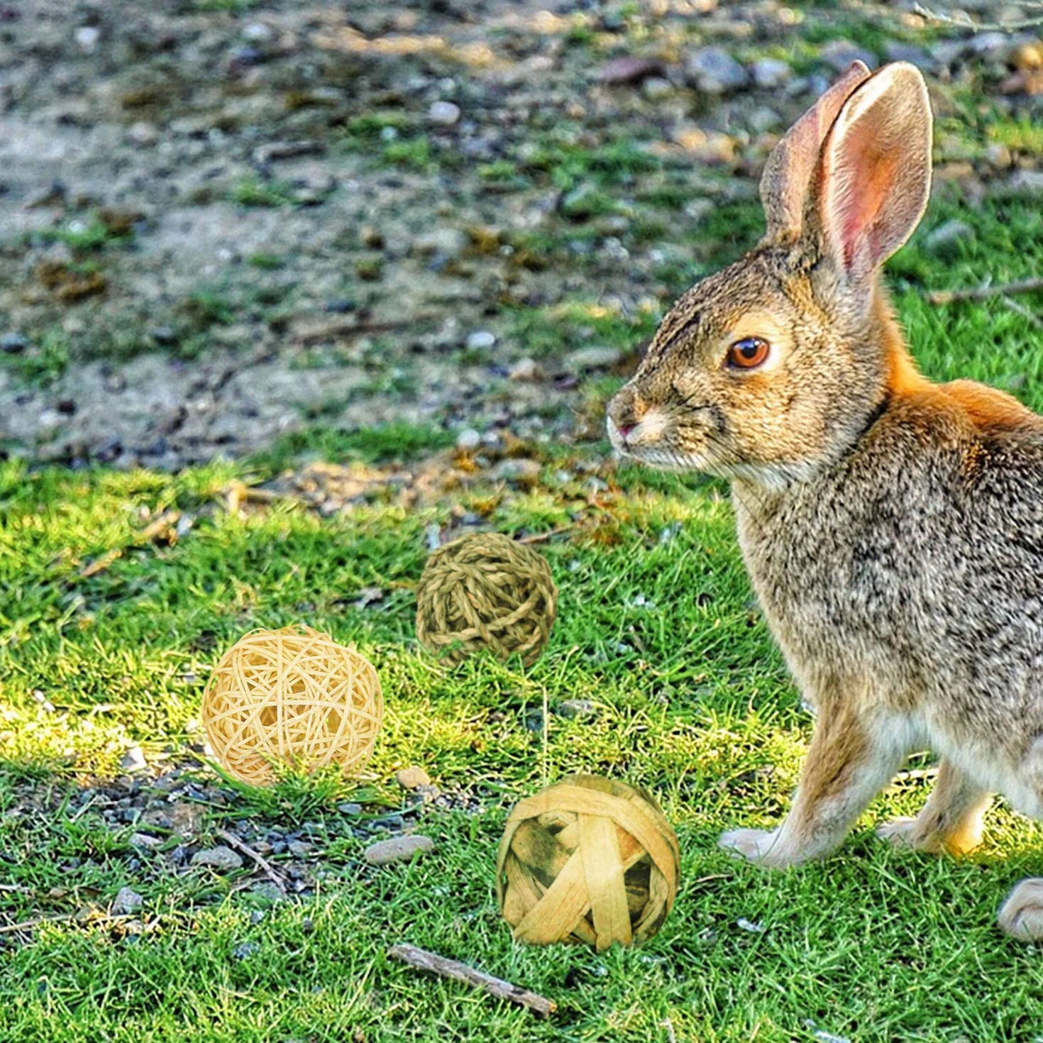 Jouets à Mâcher pour Petits Animaux 9 Pièces Balle en Rotin Boules d'herbe Santé Dentaire Lapins Hamsters