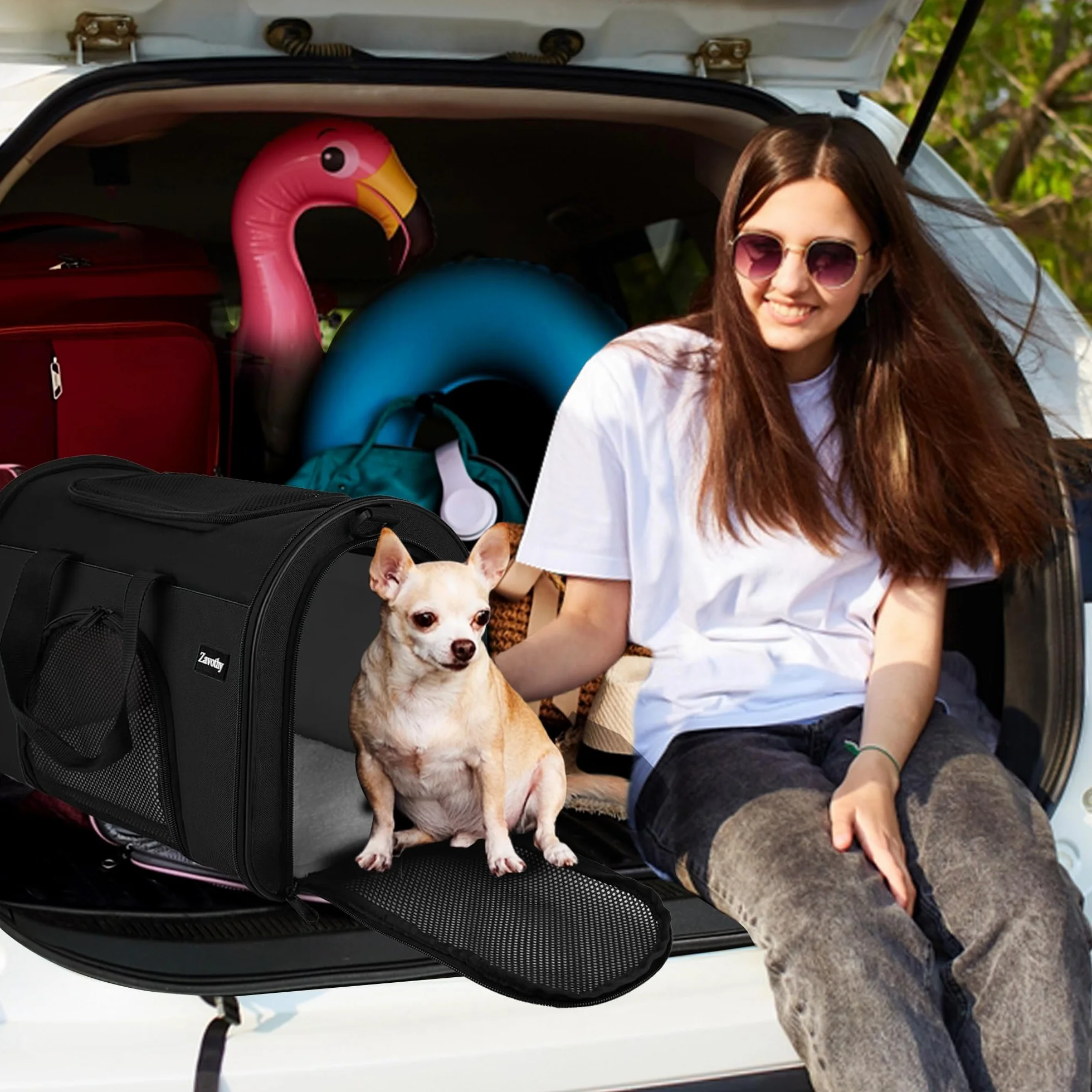 Sac de transport pour chats et chiens respirant pliable avec bandoulière réglable matelas en peluche amovible noir S