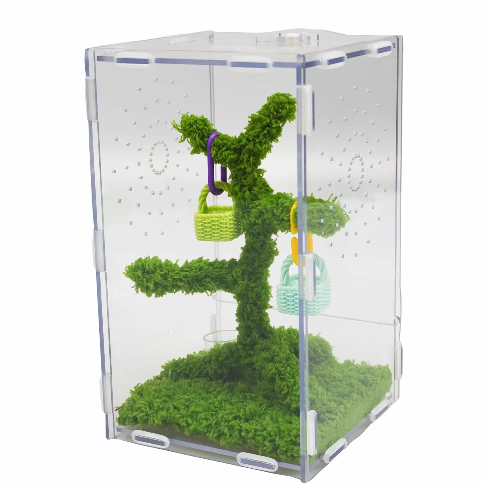 Kit Terrarium Araignées Sauteuses Acrylique Ventilé 22x13x12 cm avec Pince Nourriture et Décor