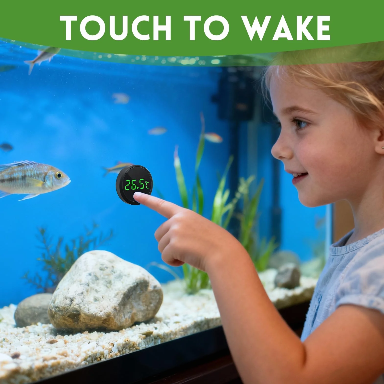 Thermomètre d'Aquarium Numérique avec Ecran Tactile, Affichage LED, sans Fil pour Eau Douce