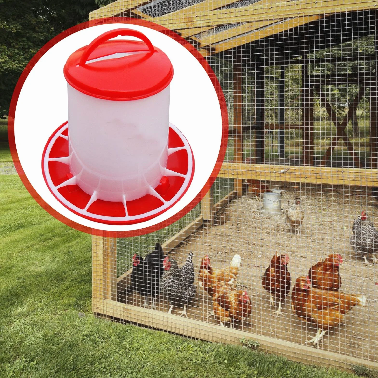 Mangeoire Suspendue pour Basse-Cour 3 kg, Distributeur Nourriture et Eau PP, Seau Alimentation Anti-Bactérienne pour Poules Canards